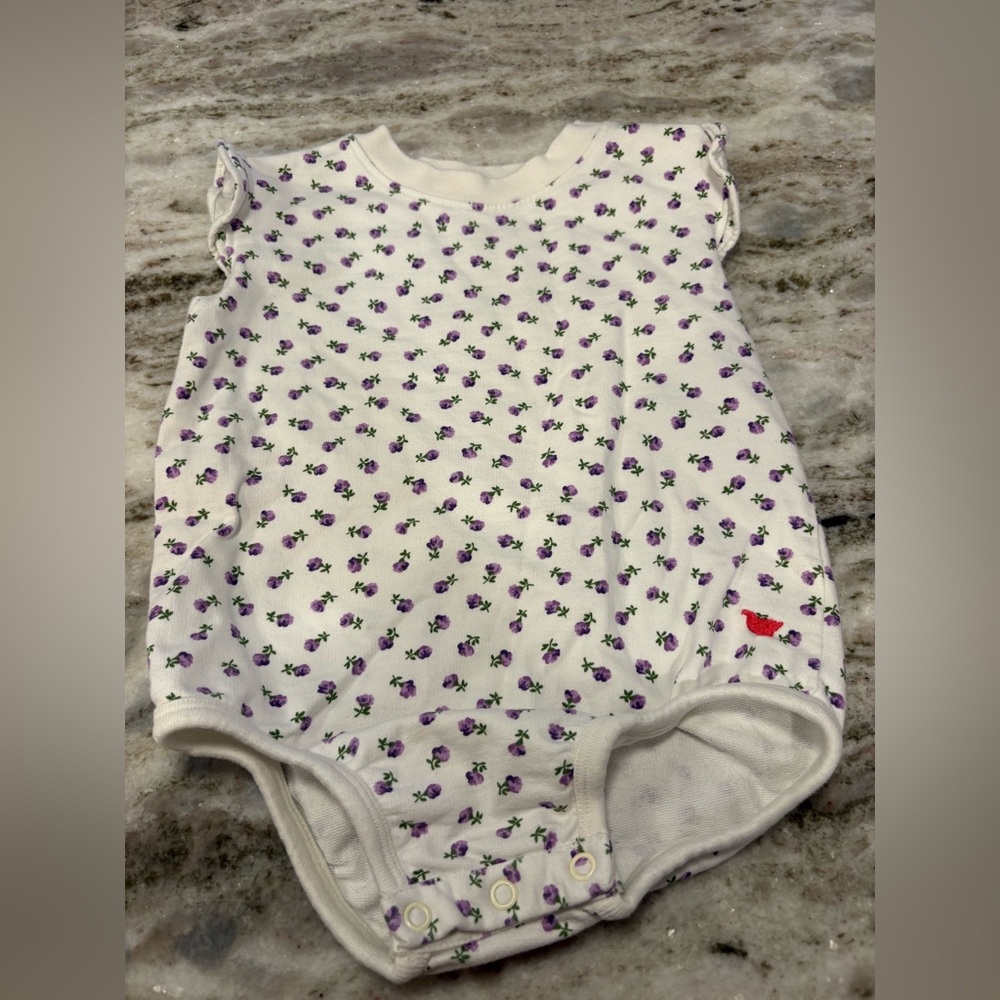Pink Chicken NY Baby Girls Organic Sweatshirt Bubble Tiny Purple Roses 18-24